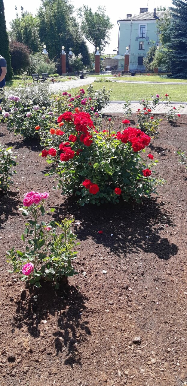 Гостиница Эдем Псков-36