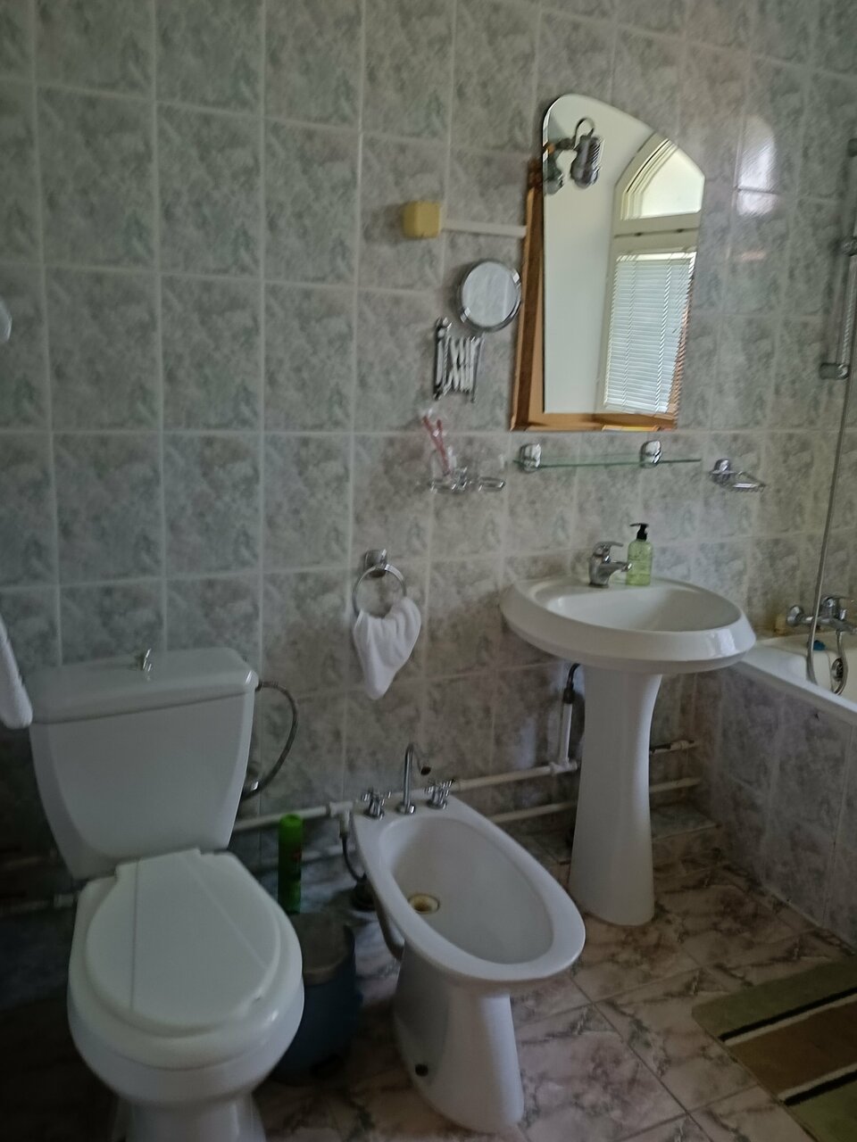 Гостиница Эдем Псков-114