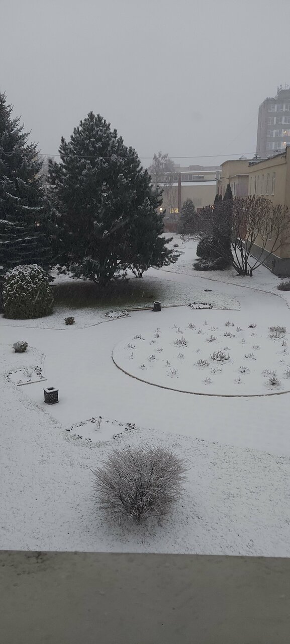 Гостиница Эдем Псков-57