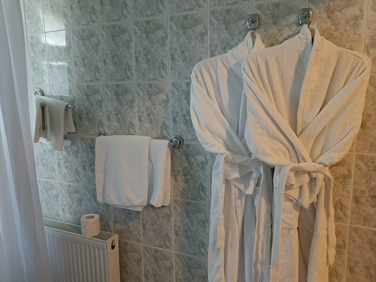 Гостиница Эдем Псков-76