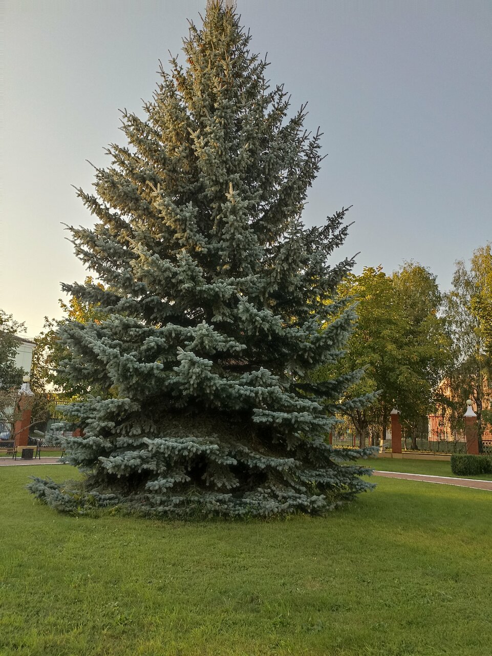 Гостиница Эдем Псков-37