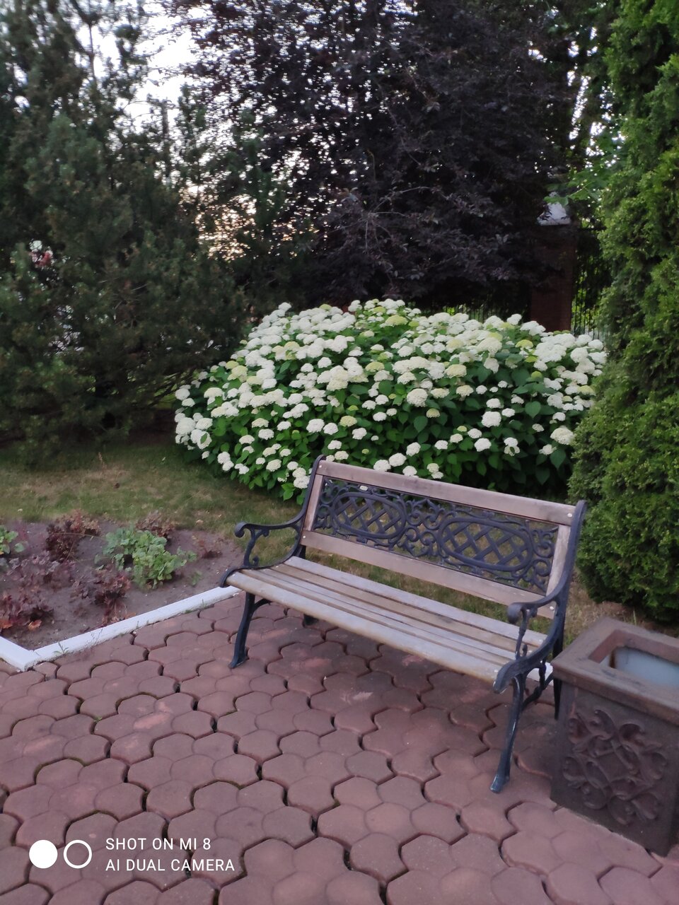 Гостиница Эдем Псков-33