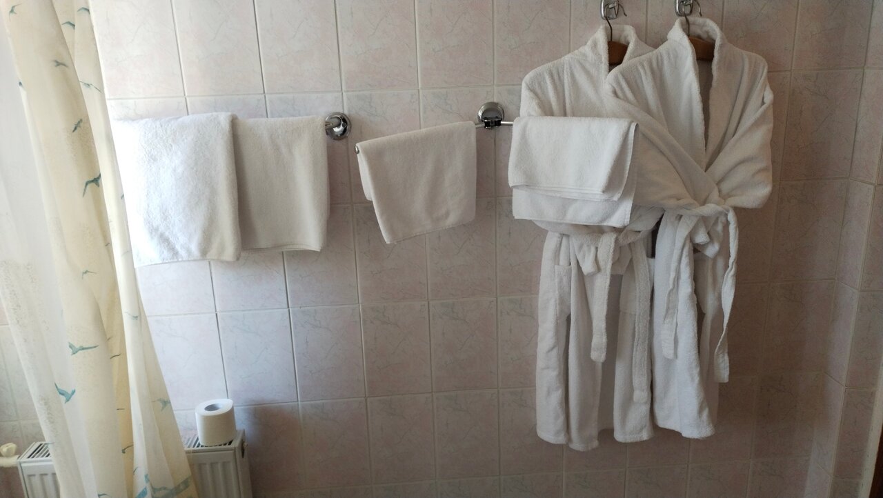 Гостиница Эдем Псков-96