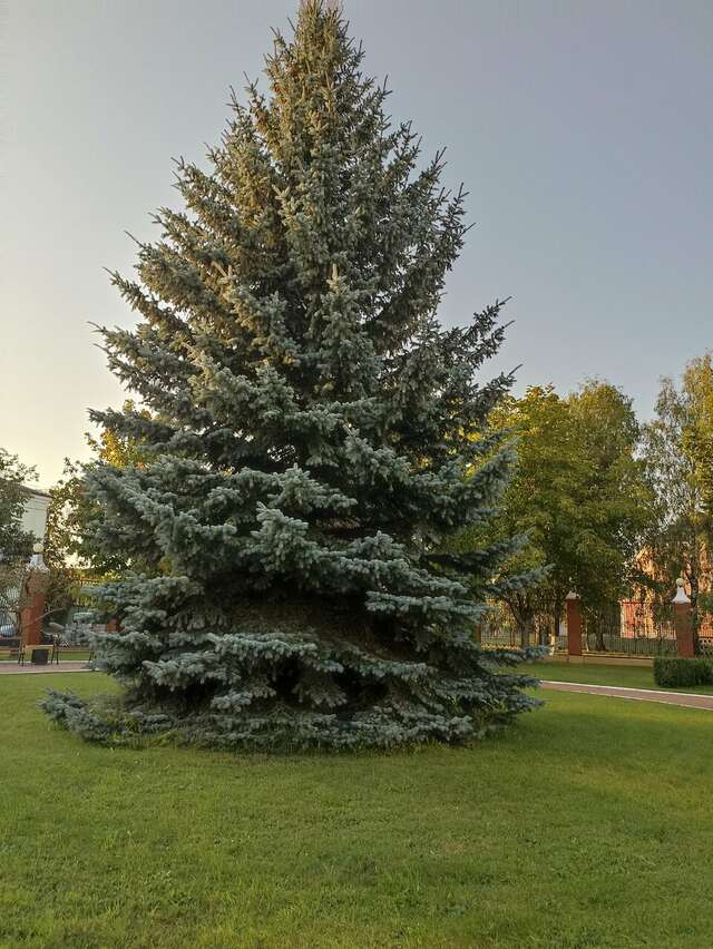 Гостиница Эдем Псков-36