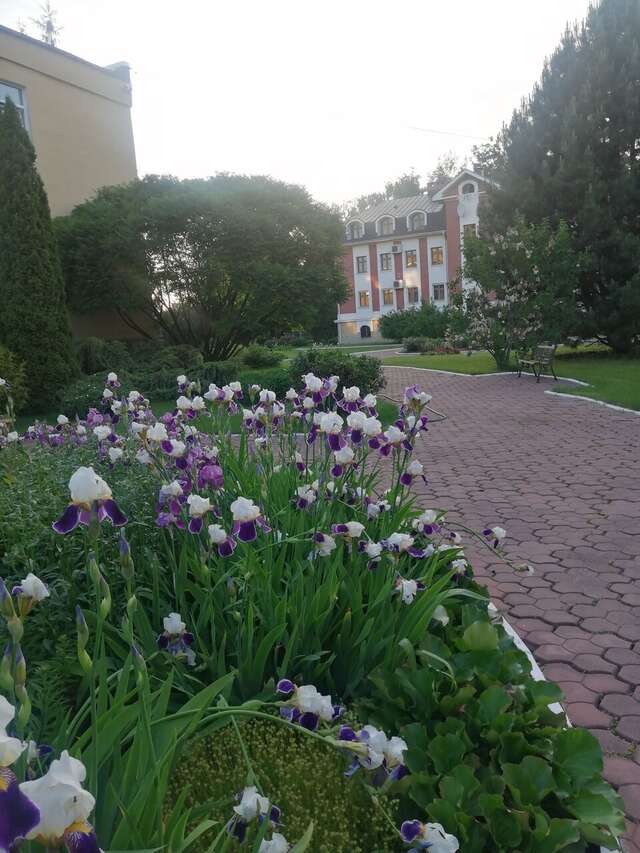 Гостиница Эдем Псков-31